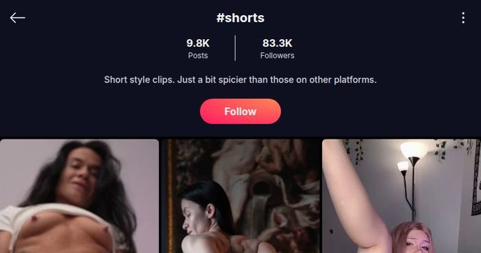 Kopf der #shorts-Seite mit Zählern, Beschreibung und Follow-Button